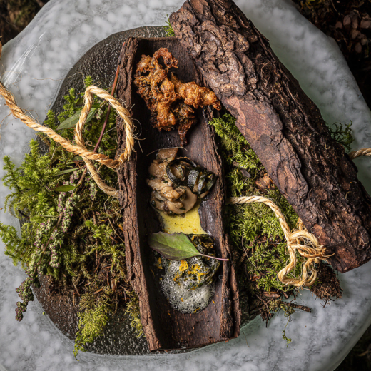 Screenshot 2025-08-21 at 16.49.41